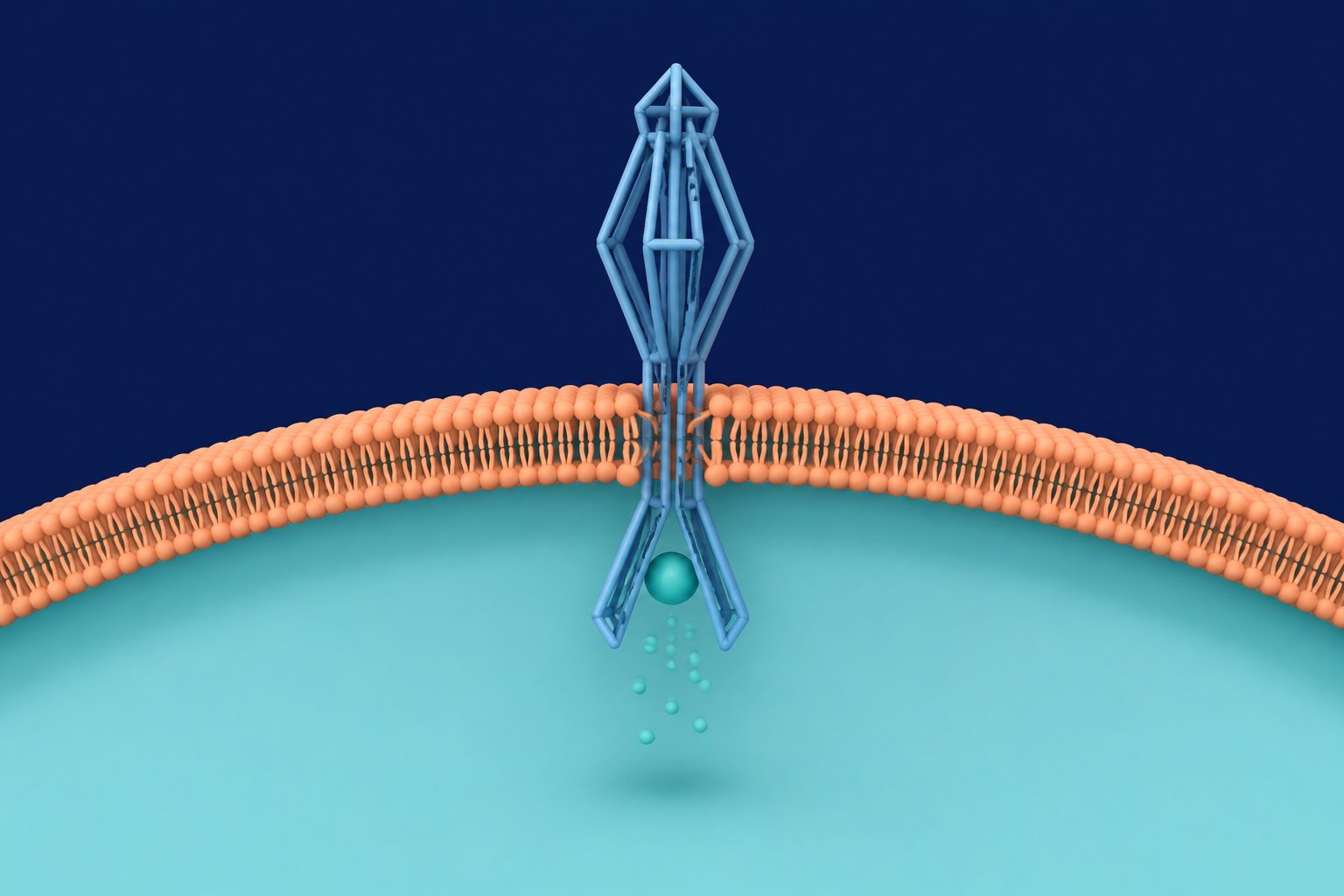 Abstract editorial illustration accompanying the article: A tiny DNA device punctures membranes and delivers cargo, then pulls back