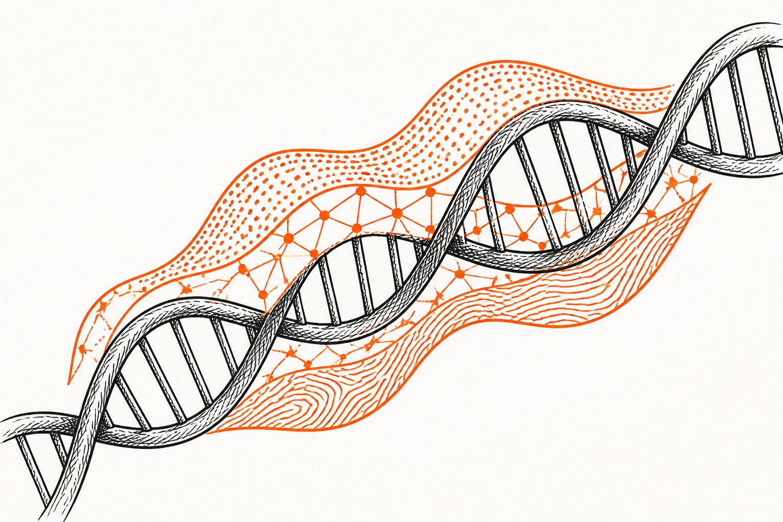 Abstract editorial illustration accompanying the article: DNA May Carry Three Overlapping Layers of Information, Study Proposes